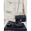 Chanel Crystal Quilting and CC Logo PVC Mules Black 2024