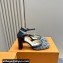 Louis Vuitton Heel 8cm Buckle Vintage Sandals Gray 2024