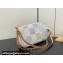 Louis Vuitton Damier Giant canvas Pochette Accessoires Bag N40642 Pistachio Green 2024