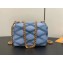 Louis Vuitton Lamb leather Pico GO-14 Bag M83071 Ecume Gray 2024