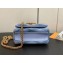 Louis Vuitton Lamb leather Pico GO-14 Bag M83071 Ecume Gray 2024