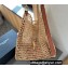 Saint Laurent oxalis bag in raffia macramé 781289 Beige/Brown 2024