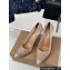 Gianvito Rossi Heel 10cm RANIA Pumps in Mesh Nude with Crystals 2024