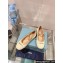 Prada Woven Raffia ballerinas with strap Creamy 2024