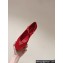 Prada Satin Mary Jane pumps with strap and logo-engraved metal buckle 1I568N Red 2024