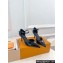 Louis Vuitton Heel 7cm Patent calf leather Stellar Pumps Black 2024