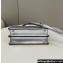 Fendi Peekaboo ISeeU Small Bag in nappa Leather Silver 2024