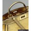 Fendi Peekaboo ISeeU Small Bag in nappa Leather Gold 2024