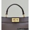 Fendi Peekaboo ISeeU Small Bag in nappa Leather Coffee 2024
