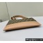 Fendi After crossbody bag Brown FF fabric 2024