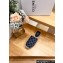Celine Les Espadrilles Mules In Triomphe Stamped Denim Blue 2024