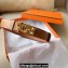 Hermes Width 2.4cm Collier de Chien 24 belt Brown