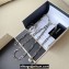 Loewe Anagram chain belt in Silver