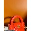 Chanel Shiny Aged Calfskin & Gold-Tone Metal Clutch with Chain Bag AP3435 Red 2024