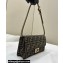 Fendi Wallet On Chain Baguette Bag in Brown FF fabric 2024