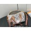 Louis Vuitton Monogram jacquard fabric Speedy Bandoulière 20 Bag M24709 Multicolor Beige 2024