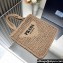 Prada raffia tote bag 1BG393 Nude 2024