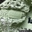 Prada raffia tote bag 1BG393 Light Green 2024