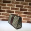 Gucci Web Ophidia GG Pouch Bag 598234 Beige/Coffee 2024