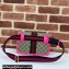 Gucci Web Ophidia GG small belt Bag 752597 Beige/Fuchsia 2024