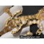 Chanel Chain Belt ABD627 2024