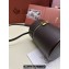 Loro Piana Extra Case Medium Bag in Smooth Calfskin Coffee 2024