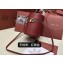Loro Piana Extra Case Medium Bag in Smooth Calfskin Deep Kummel 2024
