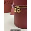 Loro Piana Extra Case Medium Bag in Smooth Calfskin Deep Kummel 2024