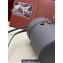 Loro Piana Extra Case Medium Bag in Grained Calfskin Gray 2024