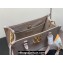 Louis Vuitton Grained calf leather Lock & Go Bag M23437 Dove Gray 2024