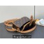 Louis Vuitton Monogram canvas Nano Diane Bag 2024