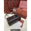 Loro Piana Extra Bag L27 with New lock charms in Smooth Calfskin Coffee 2024