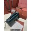 Loro Piana Extra Bag L27 with New lock charms in Smooth Calfskin Dark Green 2024