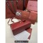 Loro Piana Extra Bag L27 with New lock charms in Smooth Calfskin Burgundy 2024