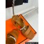 Hermes Heel 9.5cm Platform 2cm Ilona 90 sandals with oversized Kelly buckle in Grained calfskin Brown 2024