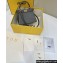 Fendi Peekaboo ISeeU Petite Bag in ostrich leather Gray 2024
