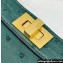 Fendi Peekaboo ISeeU Petite Bag in ostrich leather Dark Green 2024