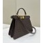 Fendi Peekaboo ISeeU Small Bag in ostrich leather Coffee 2024