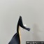 Dior Heel 8cm Tribales Heeled Slides in Black Satin with resin pearls 2024