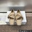 Dior Songe Ballet Flats in Nude Fringed Grosgrain 2024