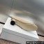 Dior Heel 3.5cm C'est Pumps in Patent Calfskin Beige 2024
