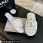 Chanel Braided Raffia CC Logo Mules White 2024