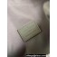 Louis Vuitton Cowhide leather Pilot Wearable Wallet Bag M83560 Kaki 2024