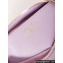 Chanel Shiny Lambskin CHANEL 19 Clutch with Chain Bag AP3763 Lilac 2024