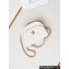 Chanel Calfskin & Gold-Tone Metal Small Messenger Bag AS4850 White 2024