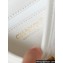 Chanel Calfskin & Gold-Tone Metal Small Messenger Bag AS4850 White 2024