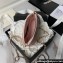 Chanel Grained Calfskin & Gold-Tone Metal Clutch with Chain Bag AP4000 Pink 2024