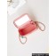 Chanel Lambskin, Resin & Gold-Tone Metal Clutch with Chain Bag AP3213 Coral Pink 2024