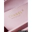 Chanel Grained Calfskin & Gold-Tone Metal Small Flap Bag with Top Handle Pink 2024