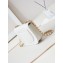 Chanel Calfskin & Gold-Tone Metal Messenger Bag AS4845 White 2024
